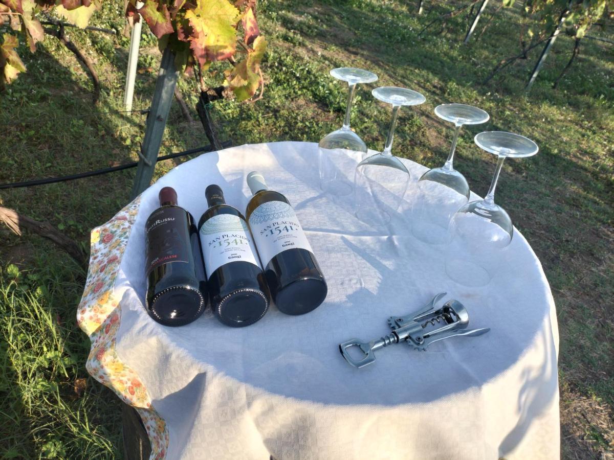 Etnasentieri Wine House On Etna Mount Villa Belpasso Luaran gambar