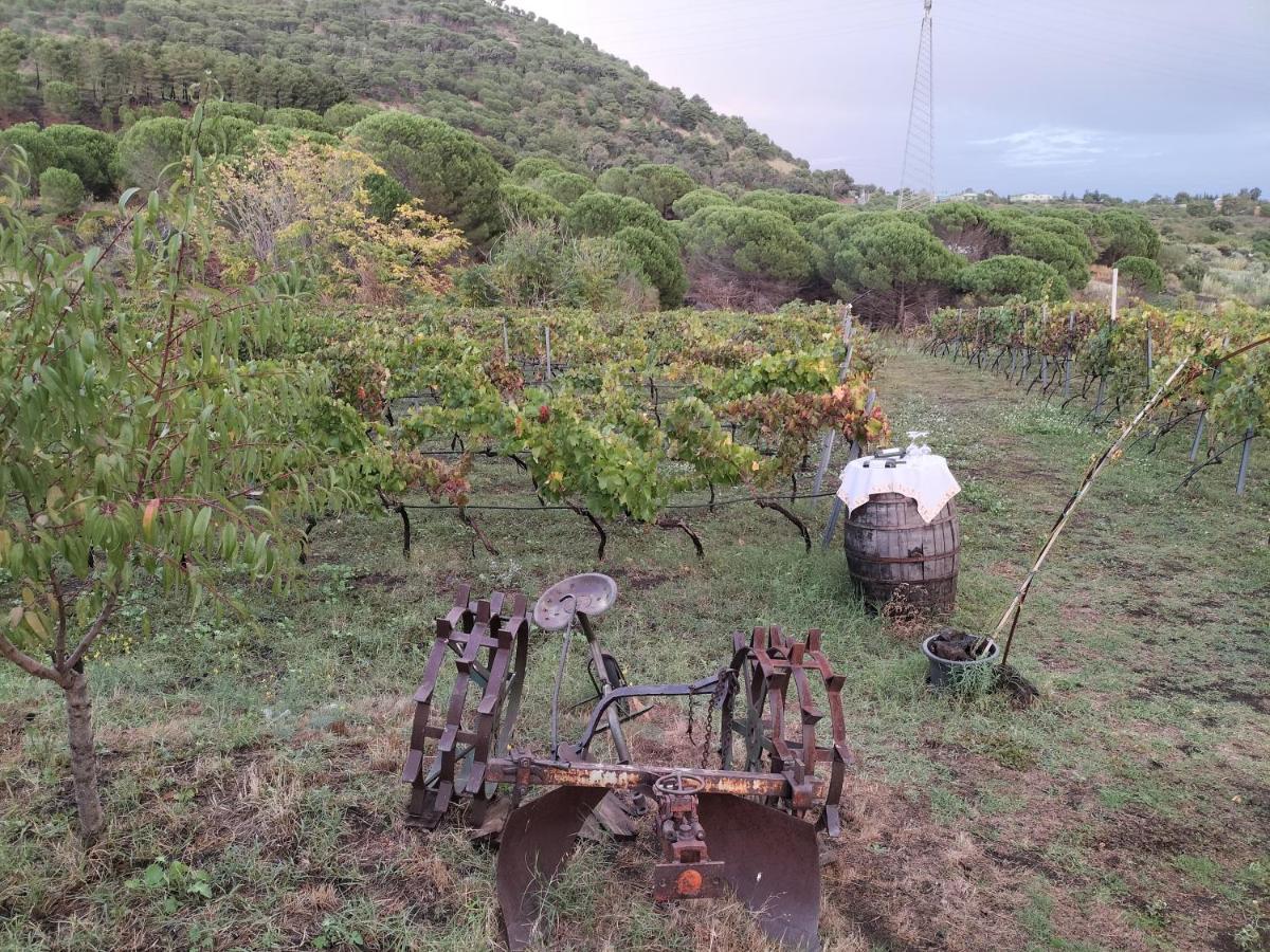 Etnasentieri Wine House On Etna Mount Villa Belpasso Luaran gambar